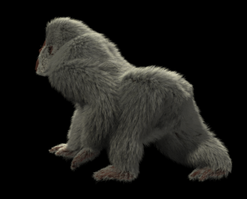 gorilla_fur